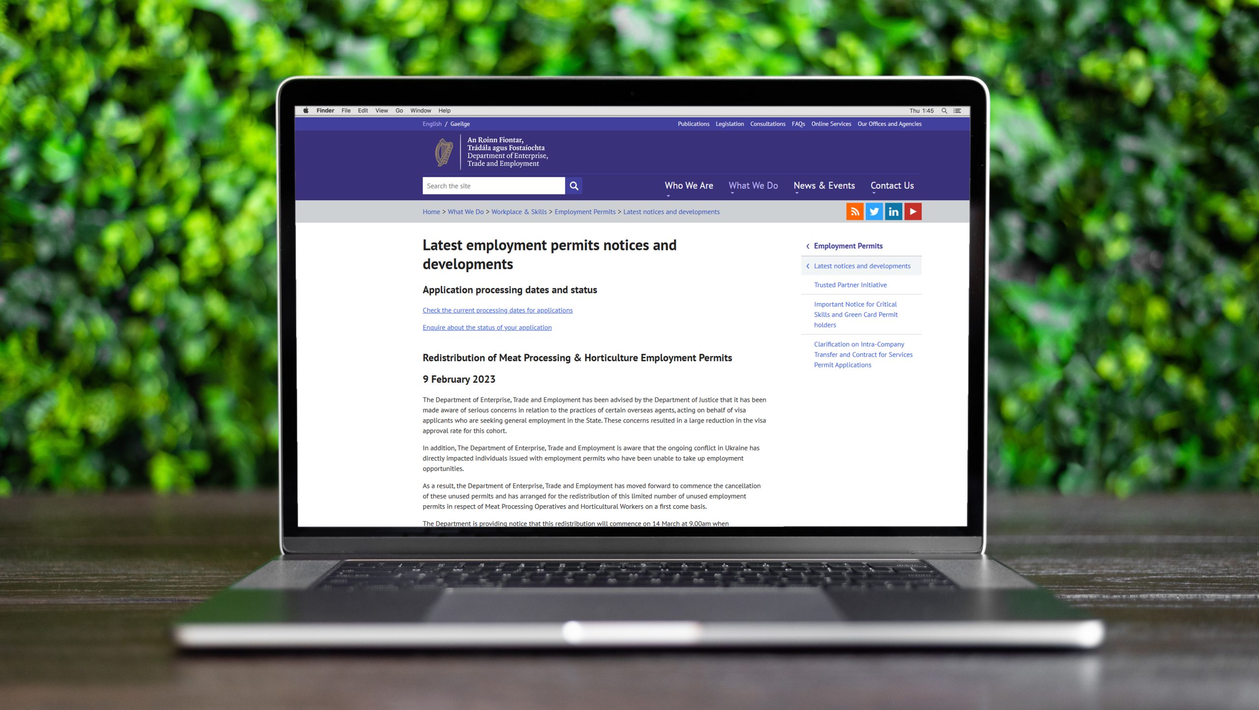 Read more about the article Work Permits – Department of Enterprise Trade and Employment Update